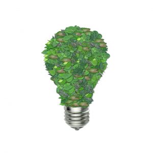 green-bulb-1440675_1280-2
